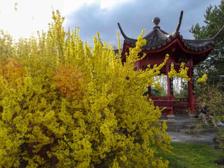 Die Gärten der Welt sind im Frühling besonders schön. Foto: Lisa Freudlsperger