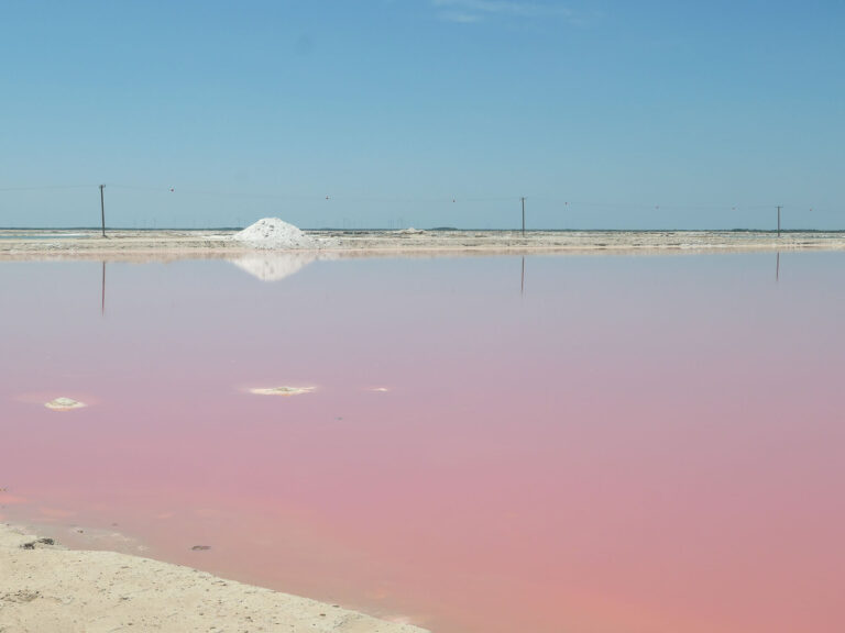 Der hohe Salzgehalt färbt die Coloradas pink ein. Foto: Lisa Freudlsperger