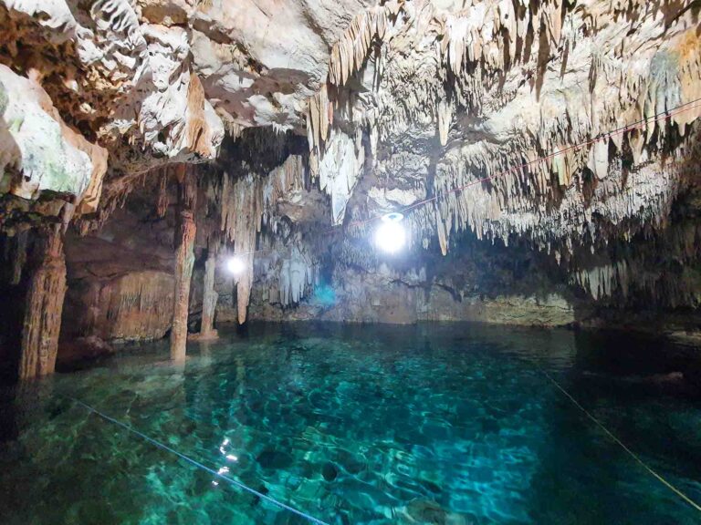 Das Süßwasser der Cenotes ist erfrischend kühl. Foto: Lisa Freudlsperger