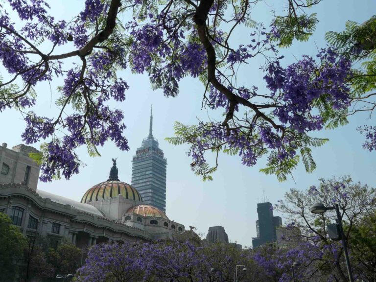 Blick auf Palacio de Bellas Artes und Torre Latinoamericana Foto: Lisa Freudlsperger