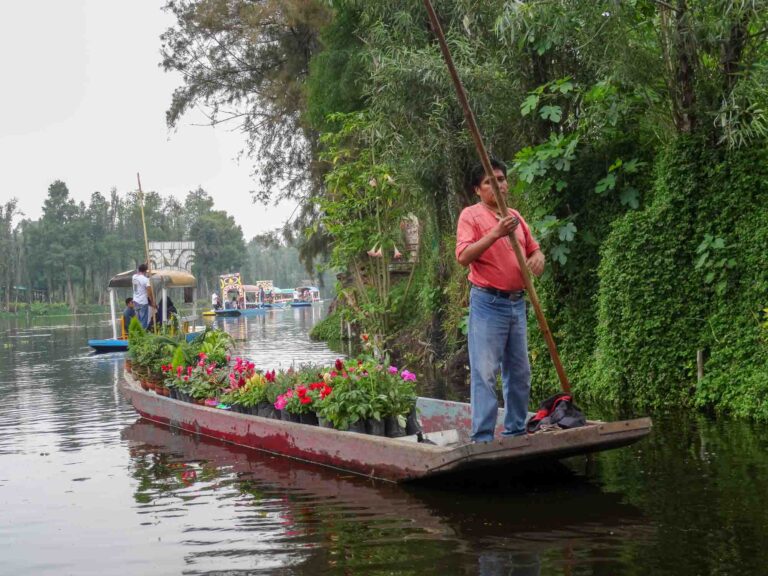 Blumenhändler auf seinem Boot in Xochimilco Foto: Lisa Freudlsperger