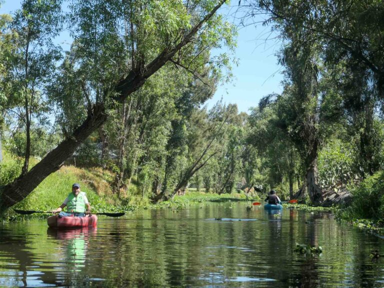 Mann im Kajak paddelt durch die Kanäle von Xochimilco. Foto: Lisa Freudlsperger