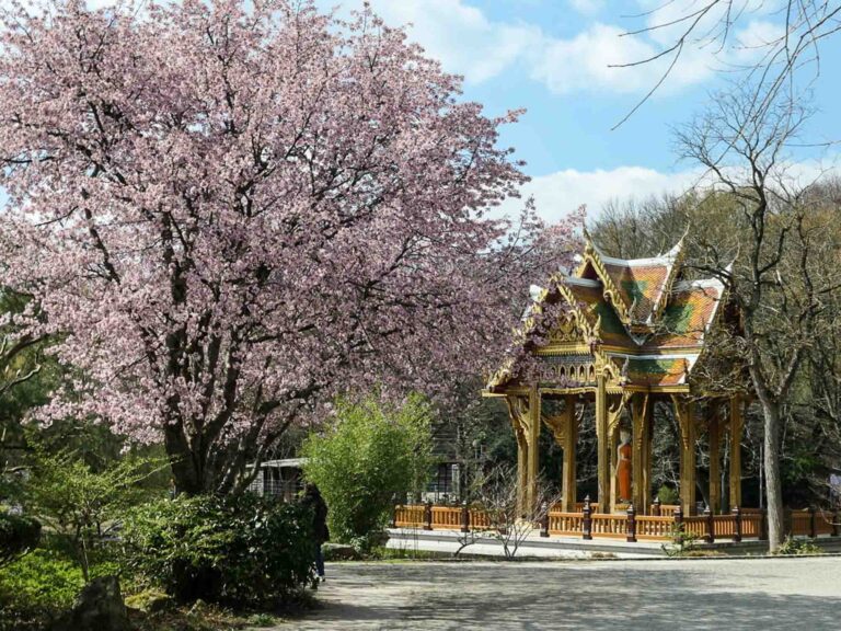 Pagode im Westpark im Frühling. Foto: Lisa Freudlsperger