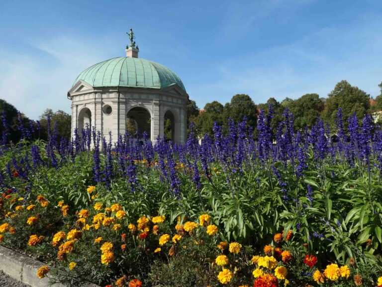 Der Münchner Hofgarten mit Blumen und Pavillon Foto: Lisa Freudlsperger