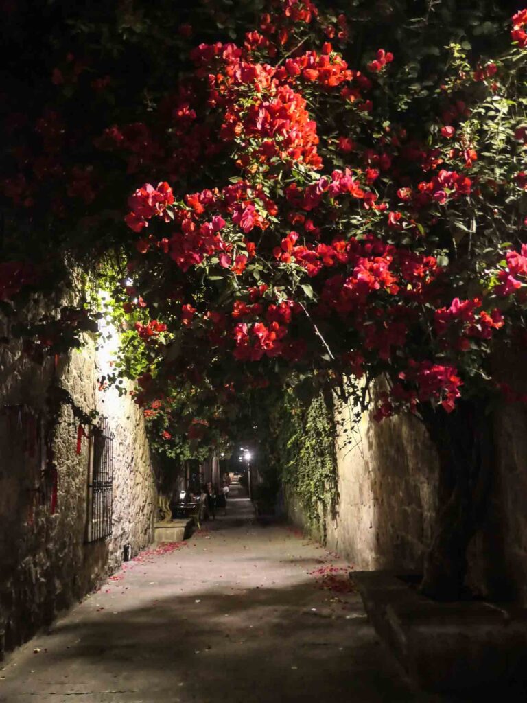 Gasse mit steinernen Gebäuden bei Nacht und roter Bougainville Foto: Lisa Freudlsperger