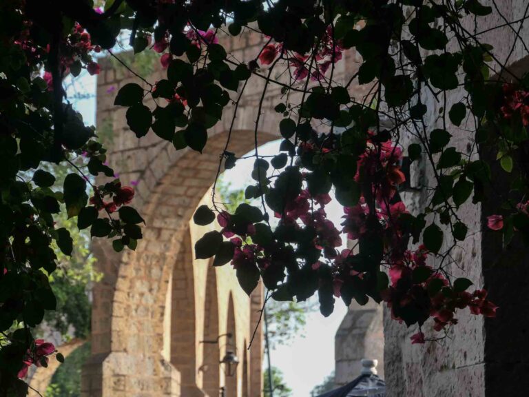 Aquädukt von Morelia im Sonnenschein mit Bougainville Foto: Lisa Freudlsperger