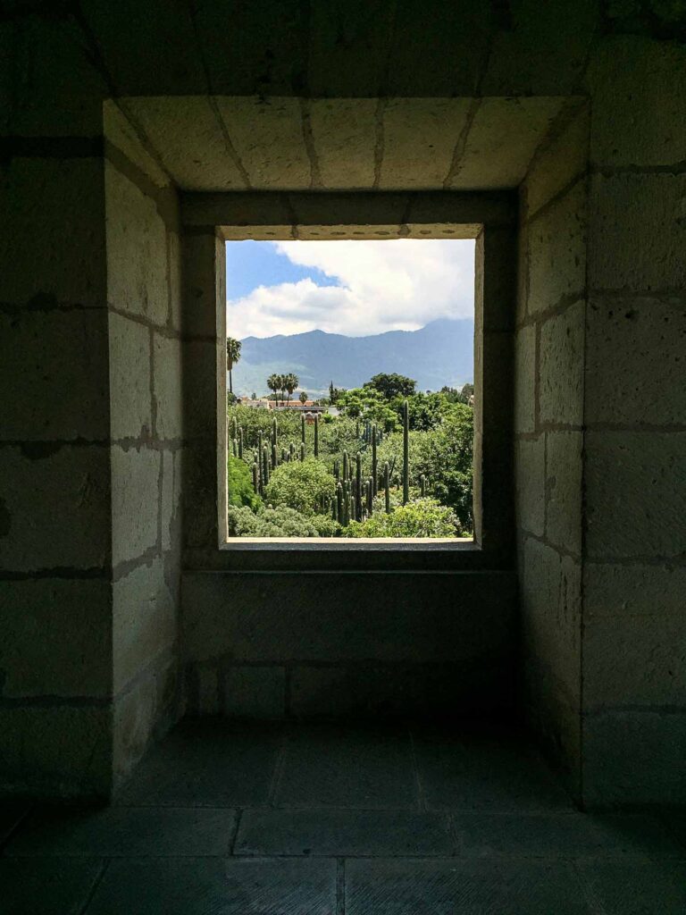 Blick aus dem Fenster auf Kakteen und Berge Foto: Lisa Freudlsperger