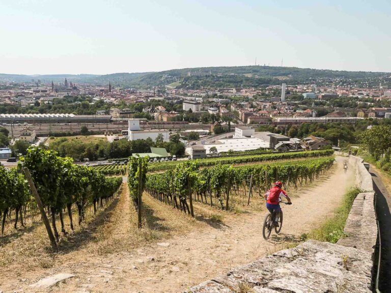 Weinberge und Fahrradfahrer vor Hintergrund der Stadt Würzburg Foto: Lisa Freudlsperger