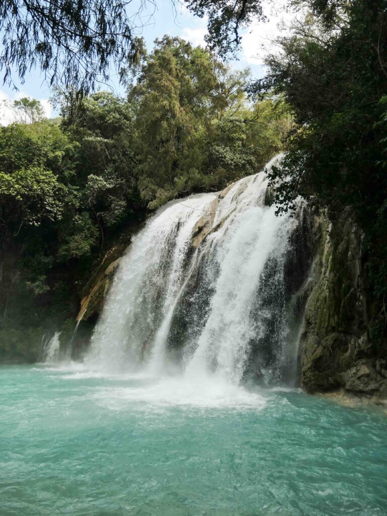 Wasserfall und türkisfarbenes Wasserbecken im Regenwald Foto: Lisa Freudlsperger