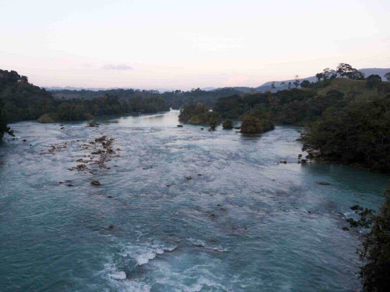 Breiter türkiser Fluss im Regenwald Foto: Lisa Freudlsperger
