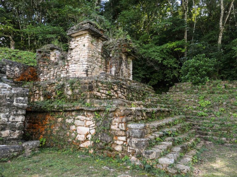 Ruinen einer ehemaligen Maya-Stadt im Dschungel Foto: Lisa Freudlsperger