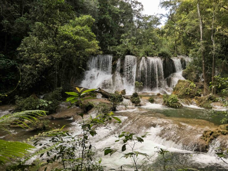Wasserfälle im Regenwald von Chiapas Foto: Lisa Freudlsperger
