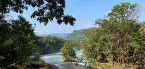 Mehr über den Artikel erfahren Chiapas: Grün küsst Türkis