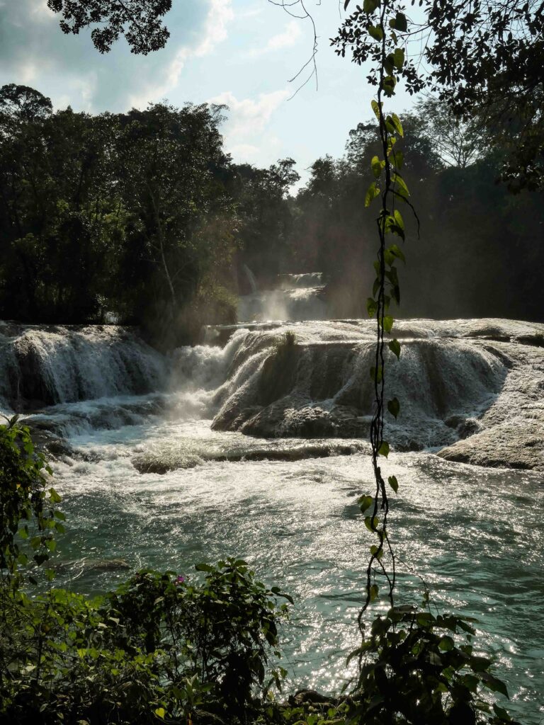 Blick auf Fluss mit Wasserfällen und tropischen Pflanzen Foto: Lisa Freudlsperger