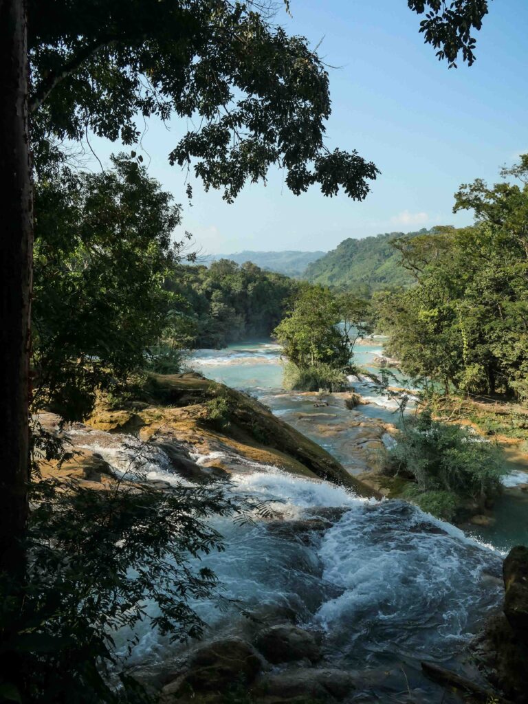 Ausblick über die Wasserfälle auf den Regenwald Foto: Lisa Freudlsperger
