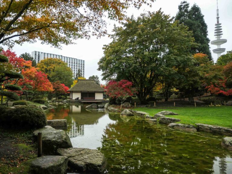 Japanischer Garten in Herbstlaub Foto: Lisa Freudlsperger