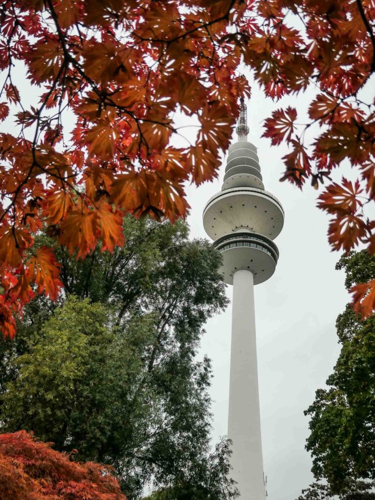 Blick auf weißen Turm, eingerahmt von roten Blättern Foto: Lisa Freudlsperger