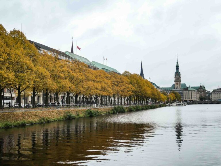 Wasserfläche, an der gelb gefärbte Bäume stehen, im Hintergrund sieht man das Hamburger Rathaus Foto: Lisa Freudlsperger