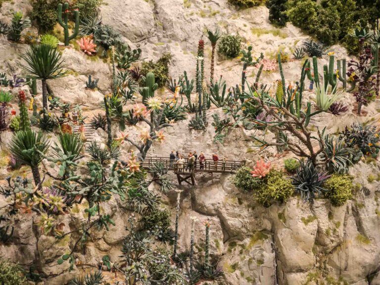 Kakteenlandschaft mit Miniaturen Foto: Lisa Freudlsperger