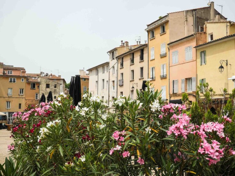 Dreistöckige Häuser in Gelb- und Orangetönen, im Vordergrund Oleander in Rosa und Weiß. Foto: Lisa Freudlsperger