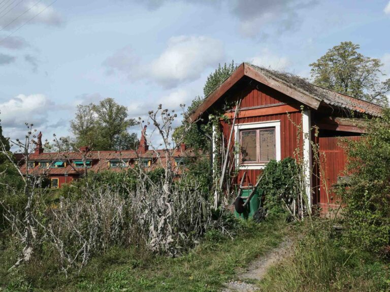 Rotes Häuschen mit wild bewachsenem Garten im Bauernhofmuseum Foto: Lisa Freudlsperger