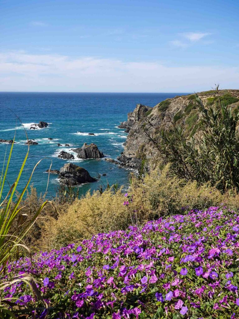 Aussicht auf lilafarbene Blumen und Felsküste Foto: Lisa Freudlsperger