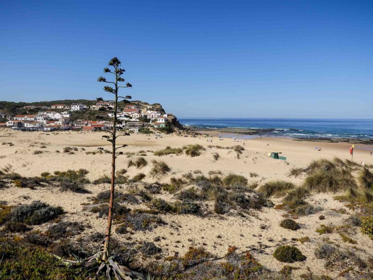 Blick auf Strand und pastellfarbene Häuser Foto: Lisa Freudlsperger