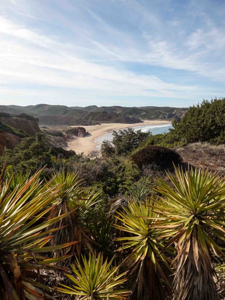 Palmen im Vordergrund, Meer und dunkle Hügel im Hintergrund Foto: Lisa Freudlsperger