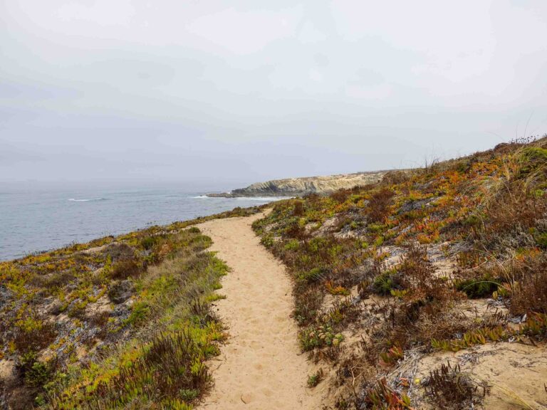 Sandiger Wanderweg an der Küste. Foto: Lisa Freudlsperger