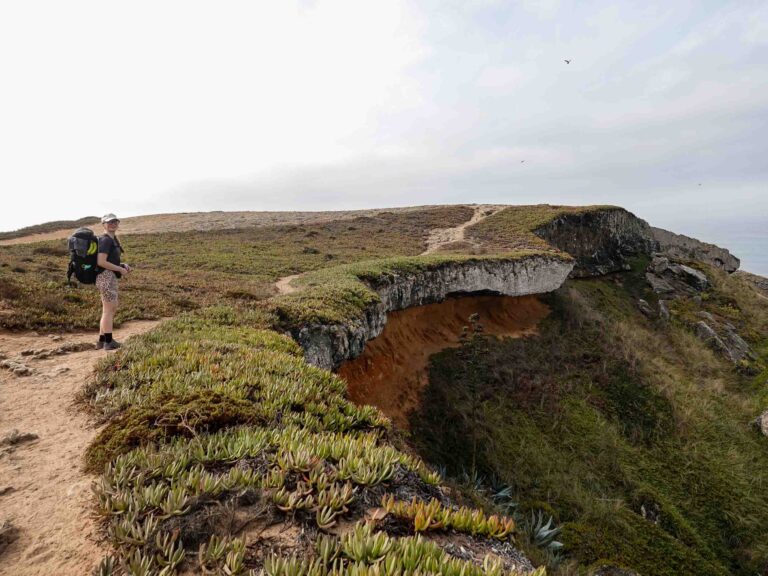 Wanderweg und Wanderin oberhalb der grün bewachsenen Klippen. Foto: Lisa Freudlsperger