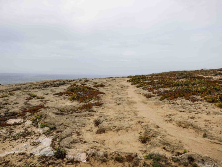 Steinig karge Landschaft und Wanderweg Foto: Lisa Freudlsperger