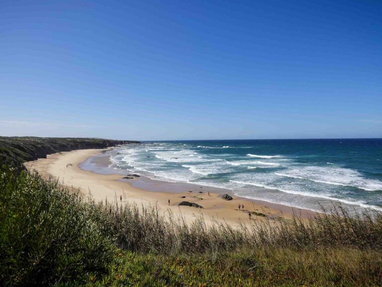 Blick über Gräser hinweg auf langen Sandstrand. Foto: Lisa Freudlsperger