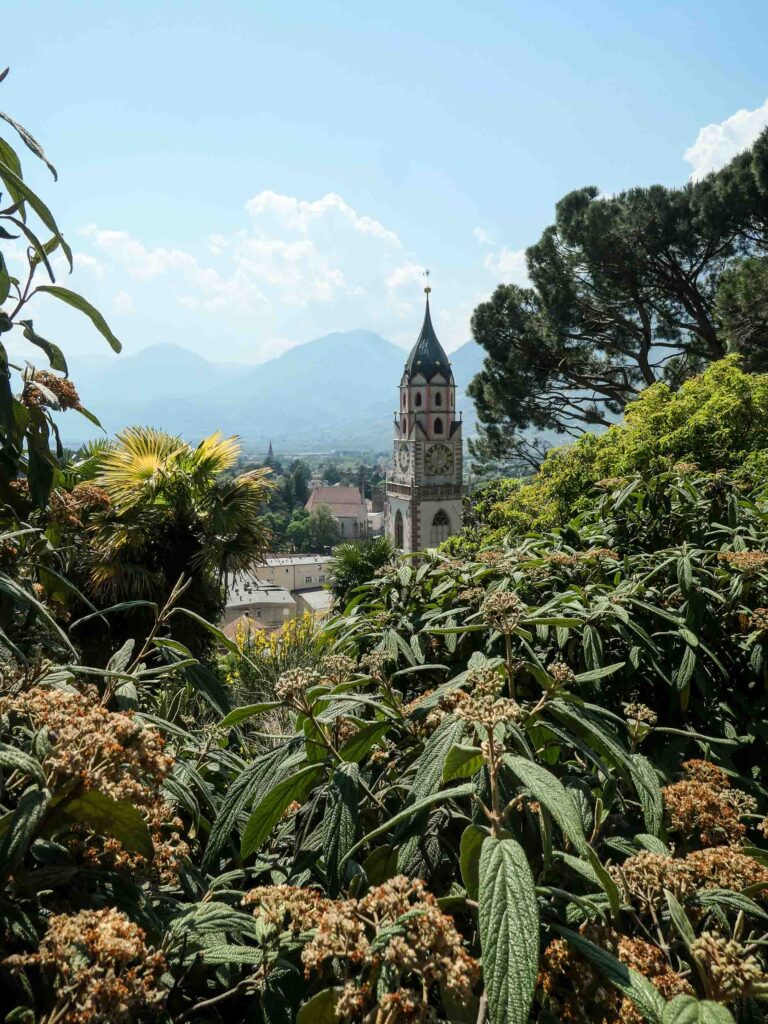 Blick auf einen Kirchturm, eingerahmt von Pflanzen. Foto: Lisa Freudlsperger