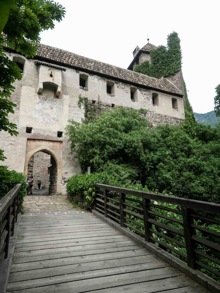 Eingang zur Burganlage, umgeben von Bäumen. Foto: Lisa Freudlsperger