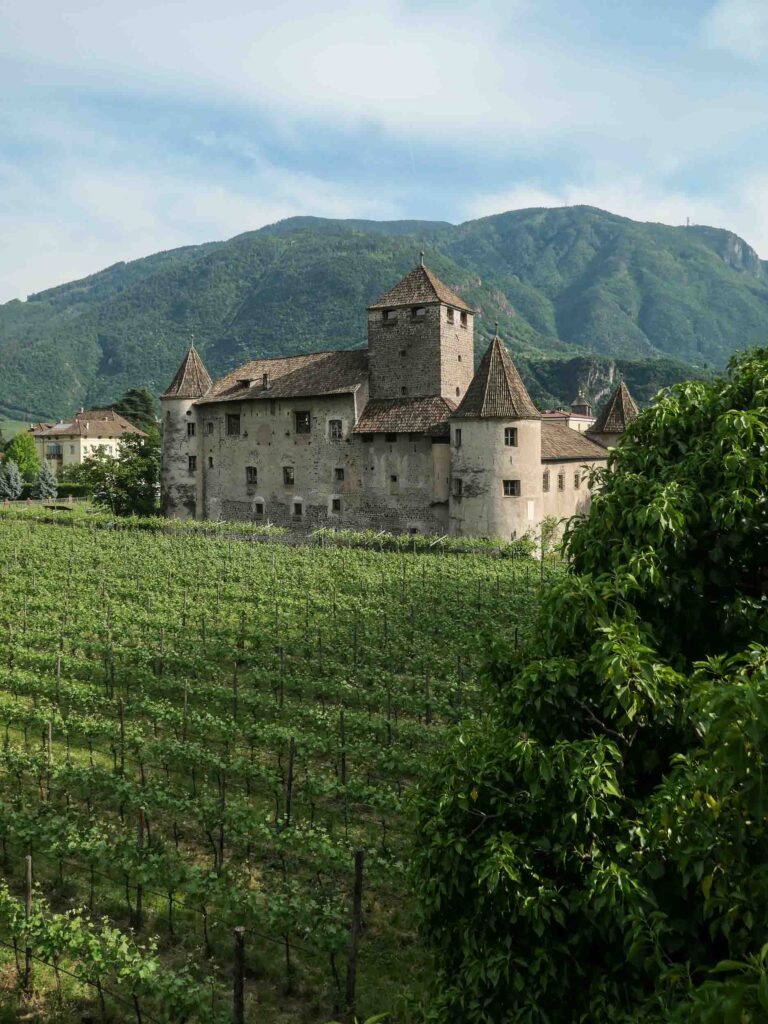 Blick auf Burganlage, Weinstöcke und Berge im Hintergrund Foto: Lisa Freudlsperger