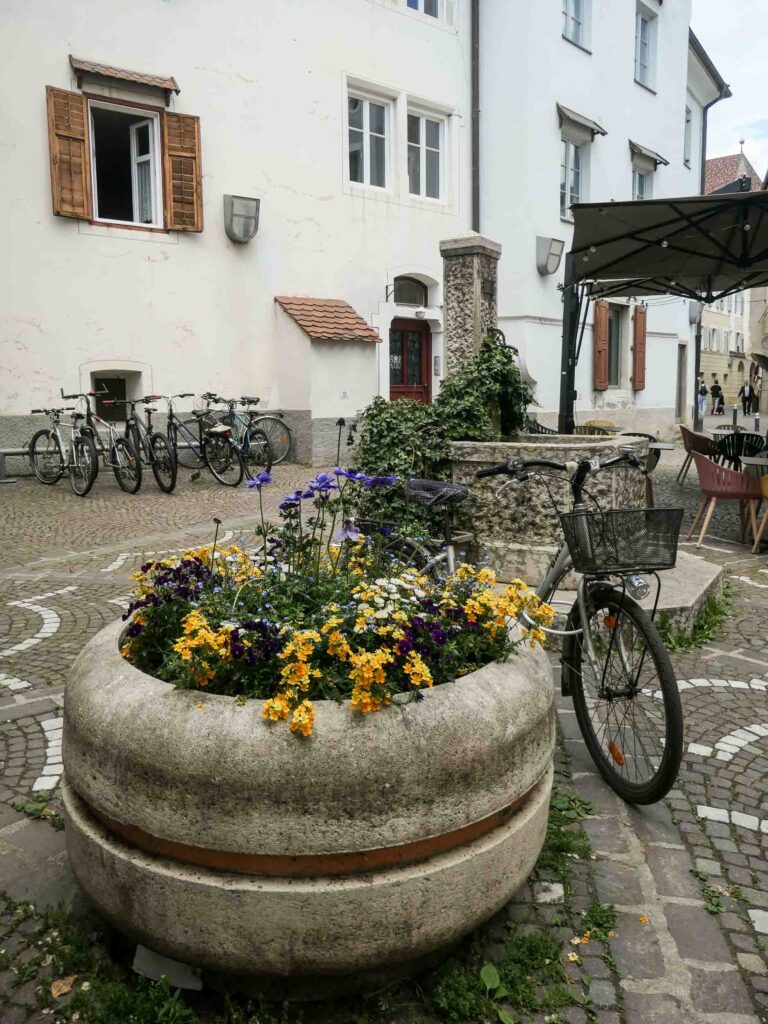 Fahrrad lehnt an großem Blumentopf Foto: Lisa Freudlsperger
