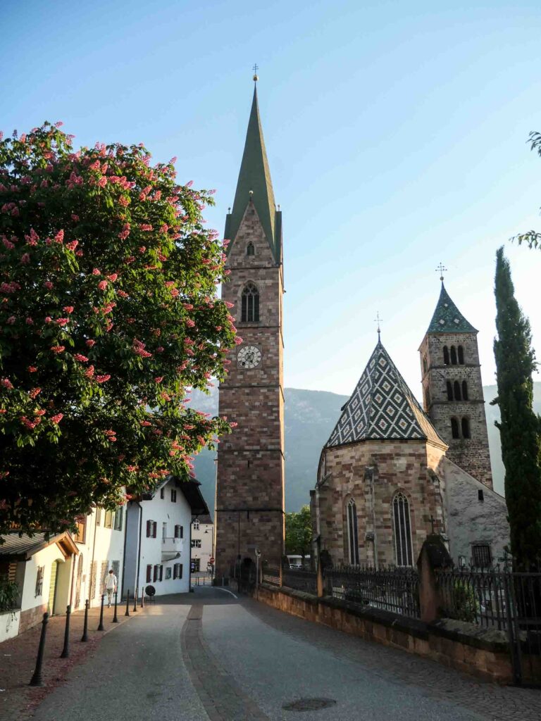 Kirche mit markantem Kirchturm, blühende Kastanie und Gutshäuser entlang der Straße im Abendlicht. Foto: Lisa Freudlsperger
